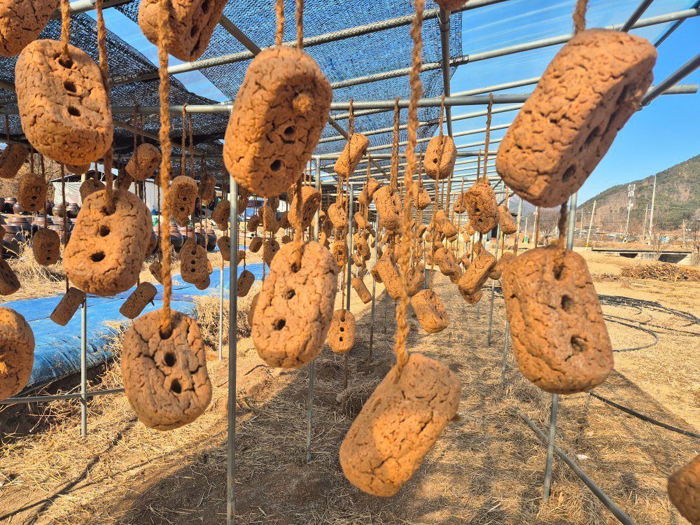 메주 바람치기